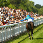 France – Together for Racing International