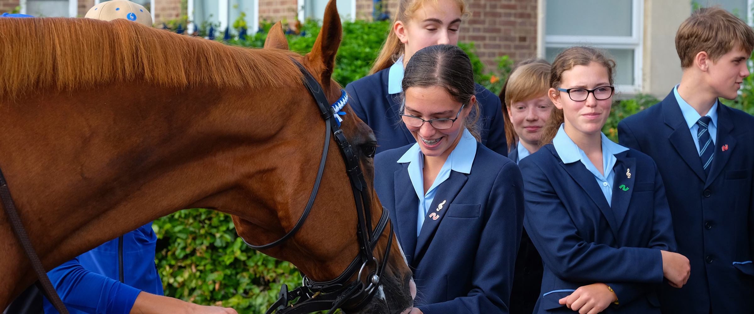 Equine curriculum helps school teach career skills