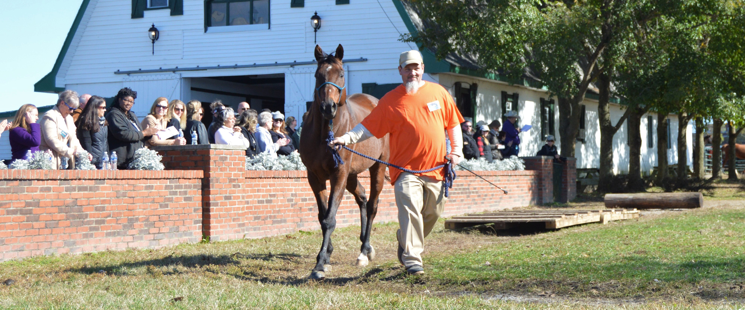 Correctional facility uses retired racehorses to teach employability skills