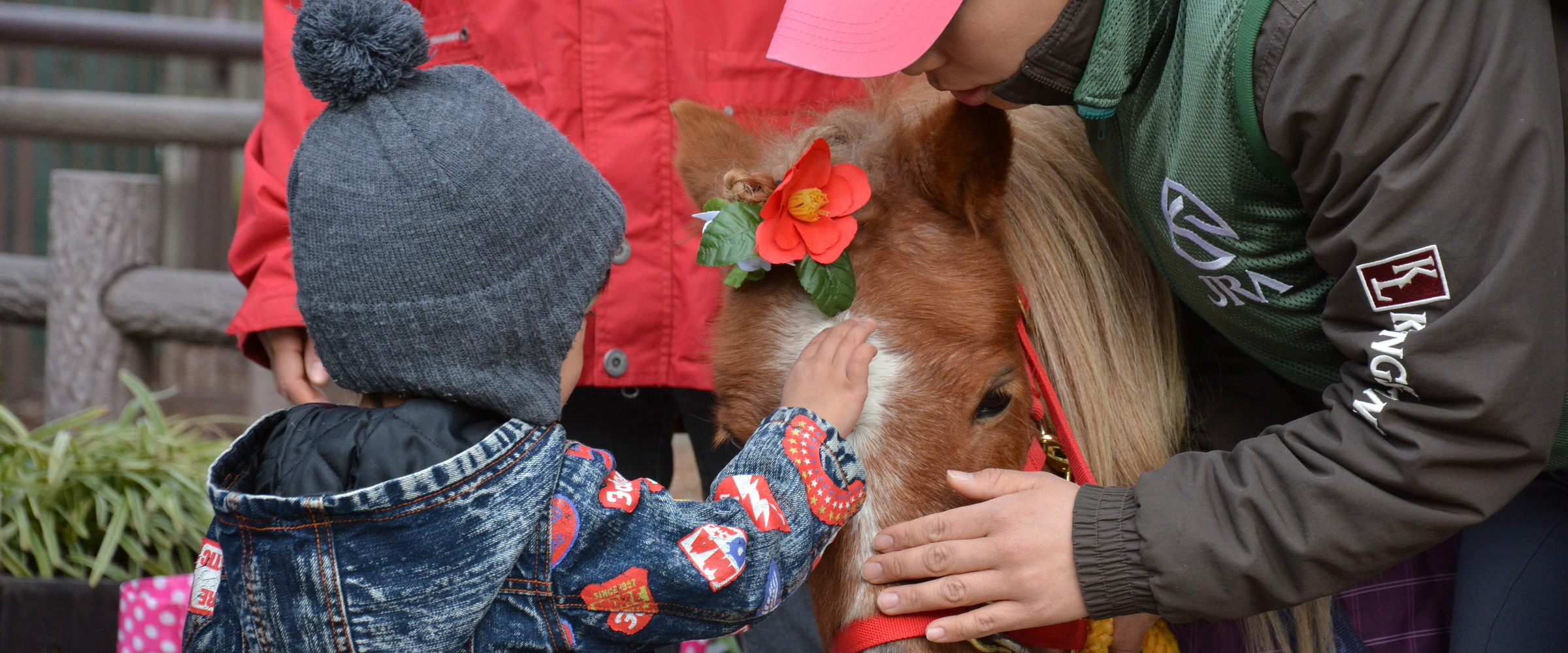 Racecourses bringing people even closer to horses