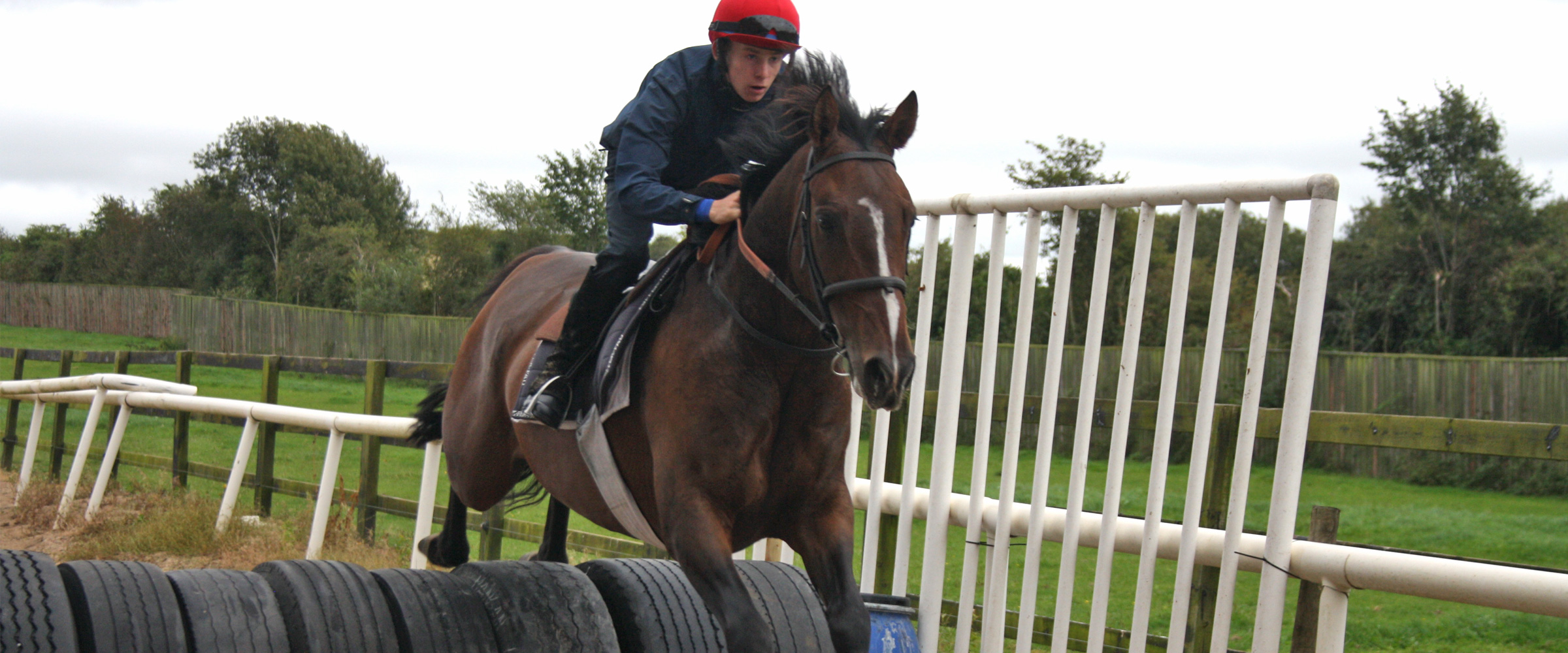 Horseracing academy gives inner-city youths pathway to success